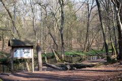 DSCF0870