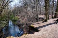 DSCF0887