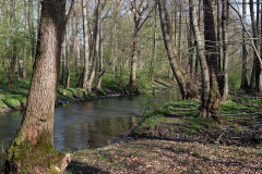 DSCF0898