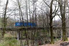 DSCF0951