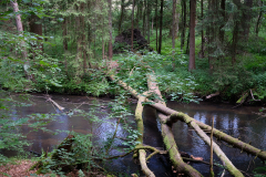 DSCF3204