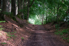 Sachsenwald - Gut Schönau