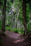 Sachsenwald - Gut Schönau