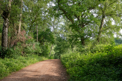 Sachsenwald - Gut Schönau