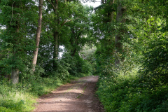 Sachsenwald - Gut Schönau