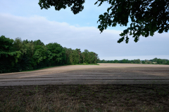 Sachsenwald - Gut Schönau