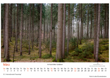 Kalender_2026_A2_V24