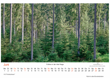 Kalender_2026_A2_V27