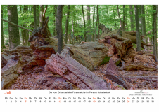 Kalender_2026_A2_V28