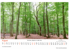 Kalender_2026_A2_V29