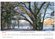 Kalender_2026_A2_V32