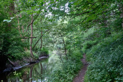 Sachsenwald - Die Bille im Krabbenkamp