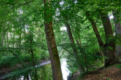 Sachsenwald - Die Bille im Krabbenkamp