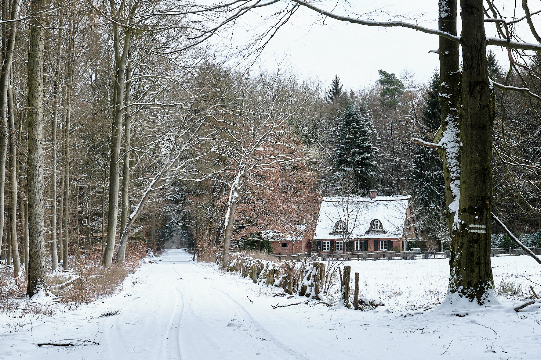 Das Hummer-Haus im Winter