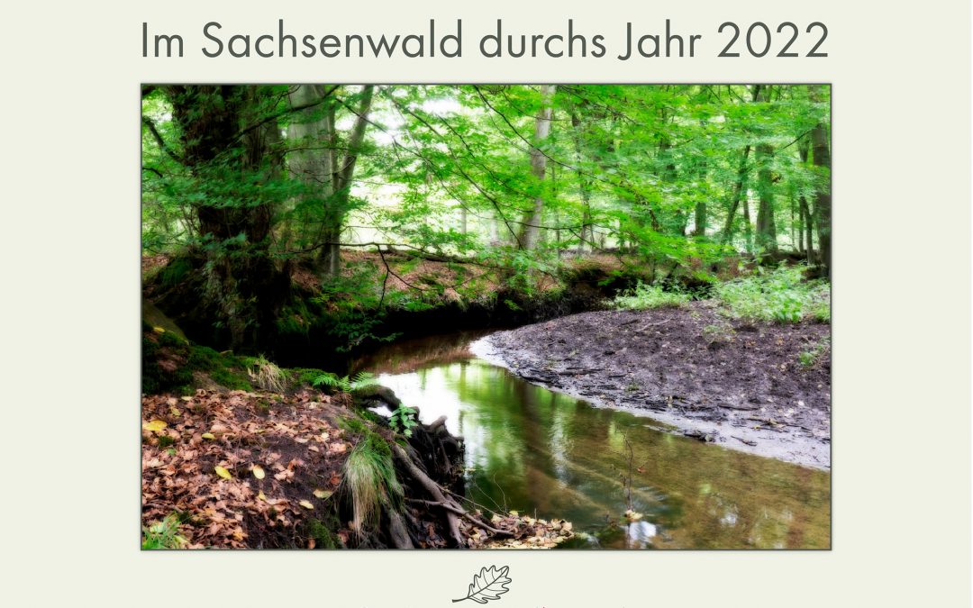 Der Sachsenwaldkalender 2022 – Preview und Vorbestellung