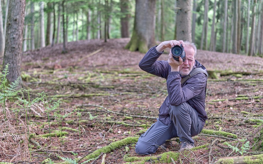 Treffen sich zwei Fotografen im Wald…