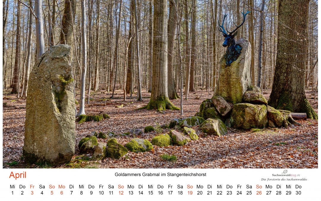 Stangenteichshorst – Forstort des Monats April